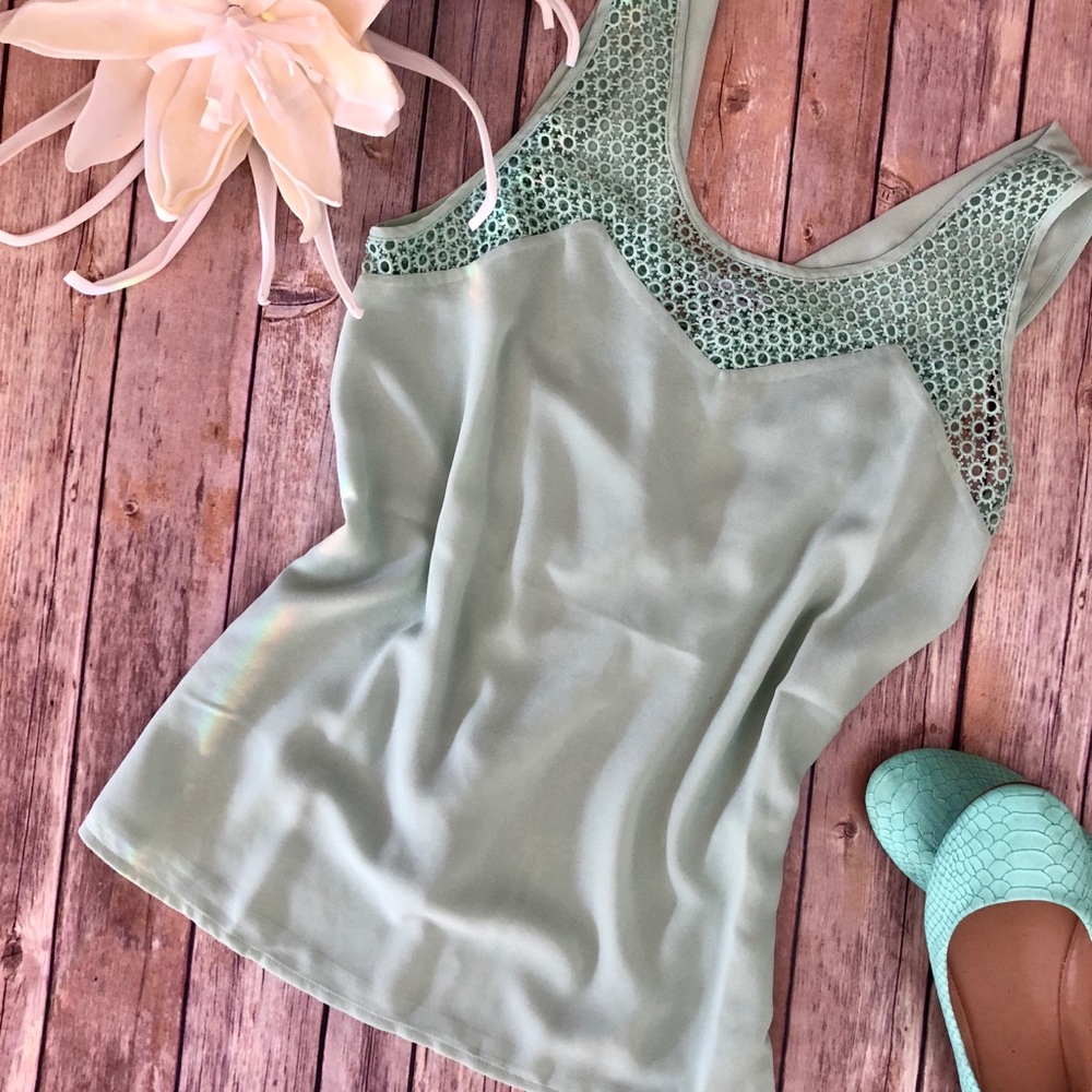 🌸3/$20 Naked Zebra Mint Shear & Eyelet Tank
